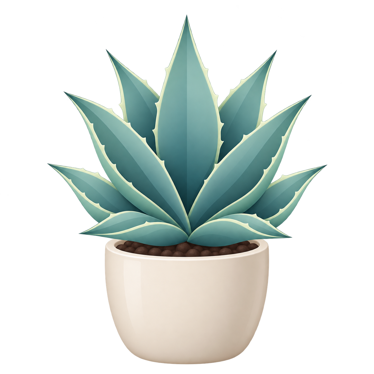 Ilustración botánica de Agave