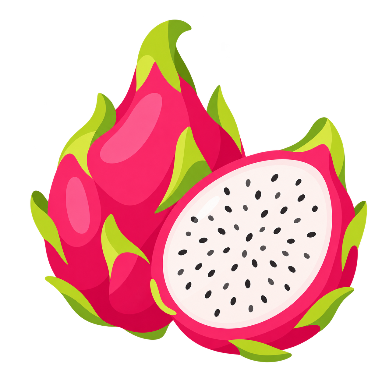 Ilustración botánica de Pitahaya